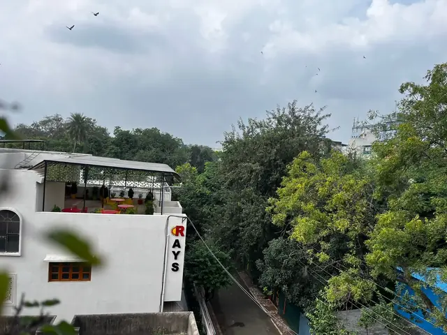 Exterior view of the Rays EdTech building and rooftop terrace surrounded by trees
